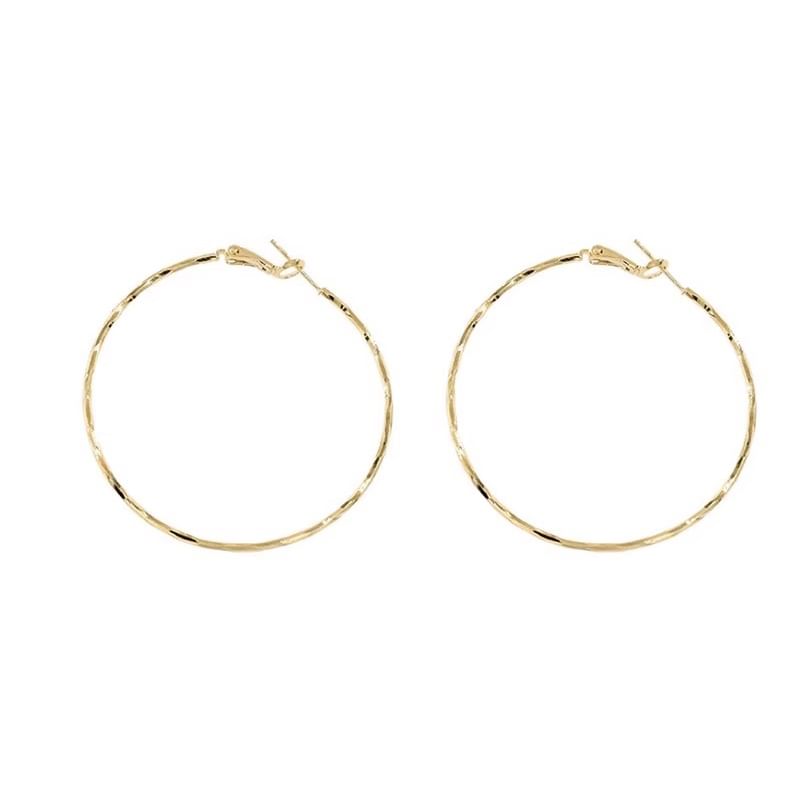 Earring Alloy Hoop