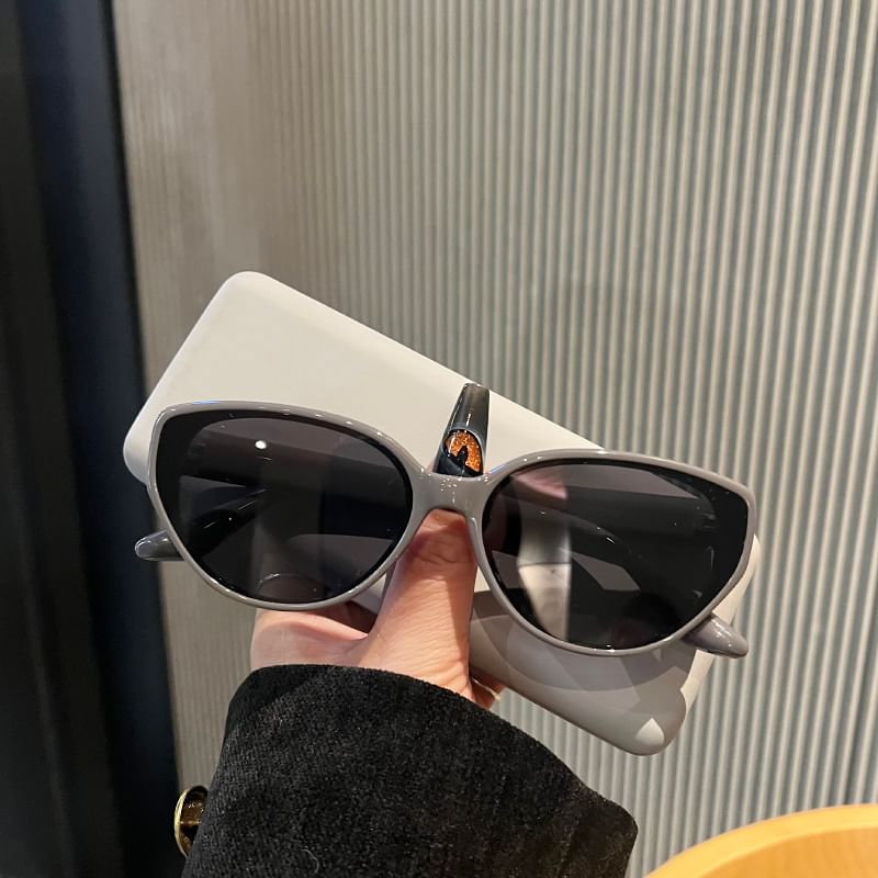 Frame Sunglasses Oval