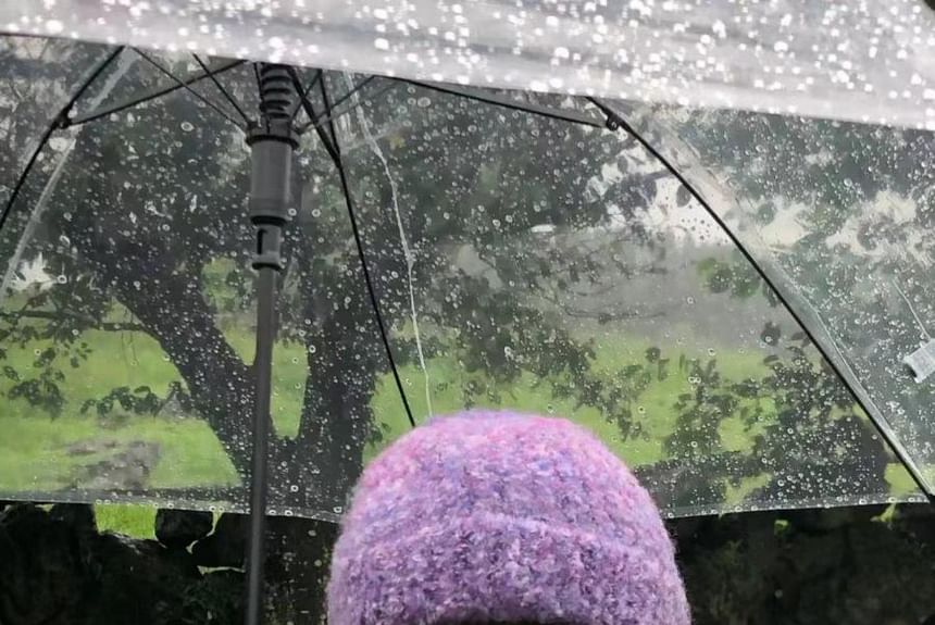 Earflap Melange Beanie