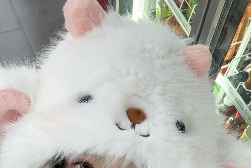 Animal Hat Cartoon Fluffy