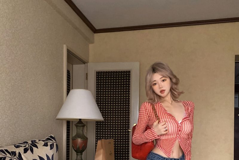 Button-Up Crop Long-Sleeve Mesh Top Gingham