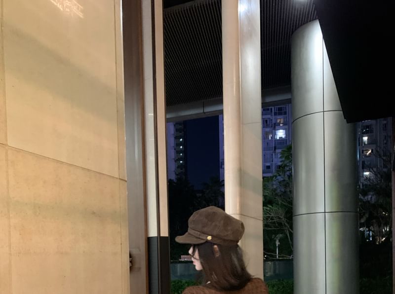 Print Sleeve Dress / Front Tie Bodycon Top Strapless V-Neck Ruffle Trim Butterfly Midi Plain Long