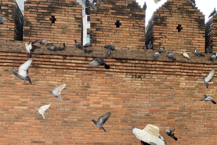 Dress Striped Halter Neck A-Line Maxi Wave Sleeveless