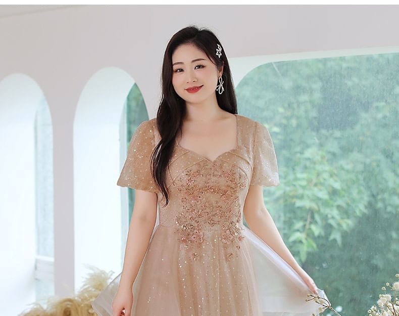 Plus Size Short-Sleeve Mesh A-Line Evening Gown