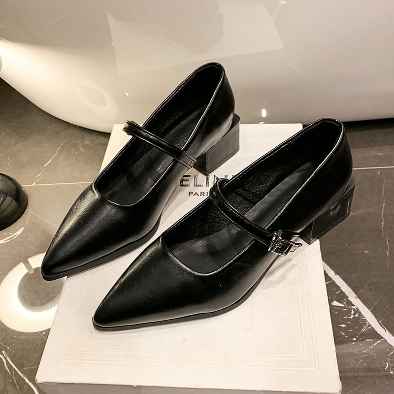 Shoes Mary Jane Pointy Heel Chunky