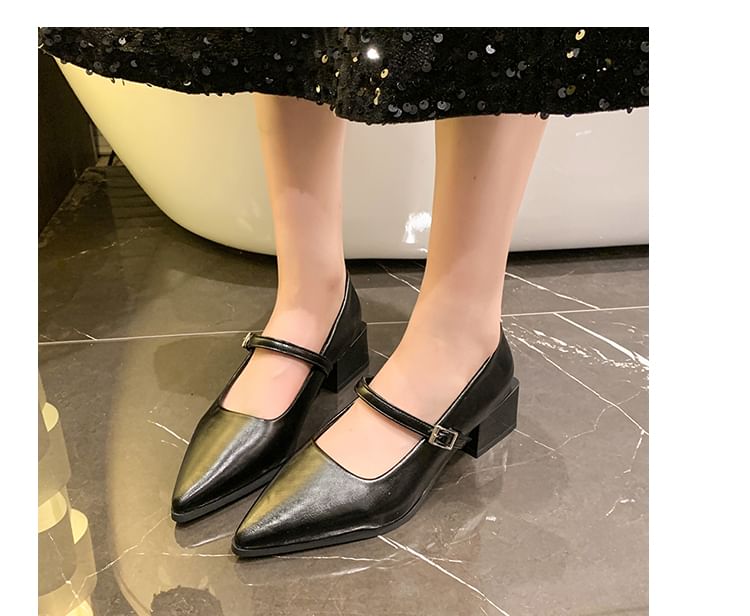 Shoes Mary Jane Pointy Heel Chunky
