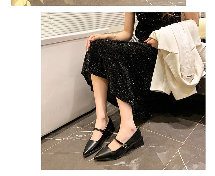 Shoes Mary Jane Pointy Heel Chunky