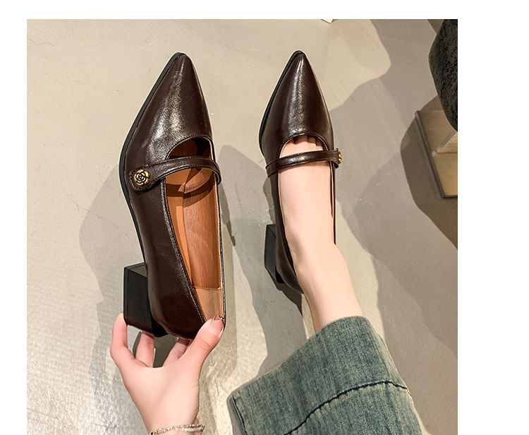 Mary Pointy Chunky Shoes Heel Jane