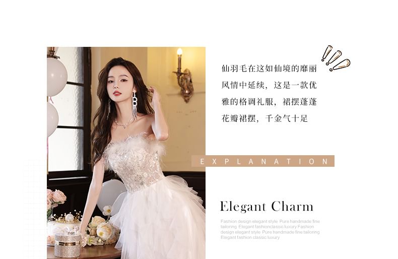 Evening Asymmetrical Strapless Mesh A-Line Gown Fluffy