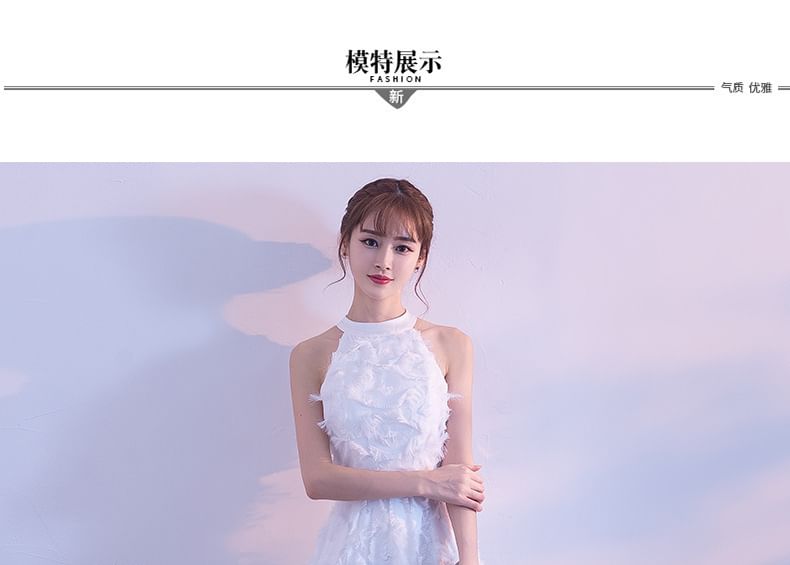 Halter-Neck A-Line Feather Gown Evening