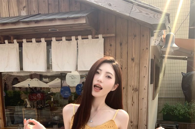 A-Line Embroidered Mini Dress Eyelet Strap Plain Spaghetti