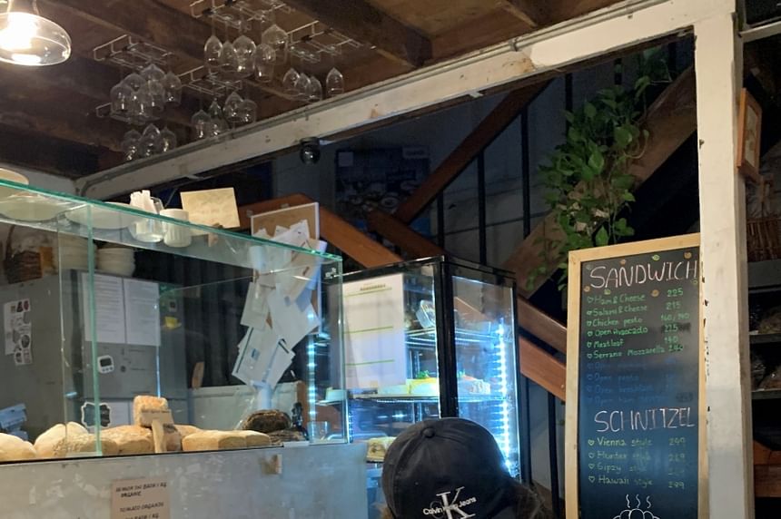 Long Sleeve Plain Ruffle Round Neck Blouse