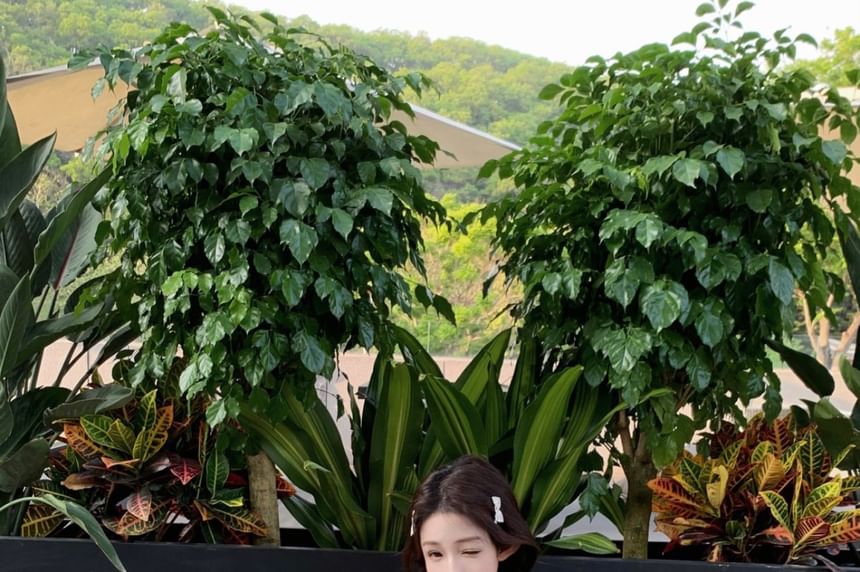 A-Line Spaghetti Print Dress Strap Shirred Mini Floral