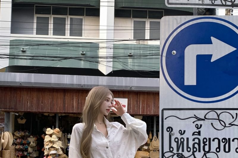 Puff-Sleeve Dress Button-Up A-Line Embroidered Floral Tie-Side Mini