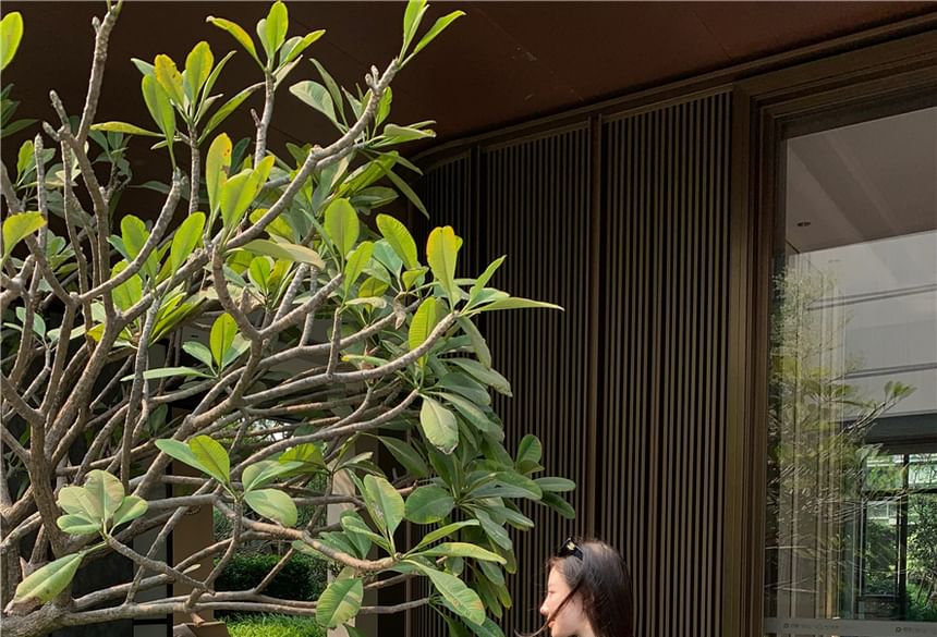 Short-Sleeve Slim Mid / Tee Maxi Skirt Fit Crop Mock Plain Neck A-Line Waist