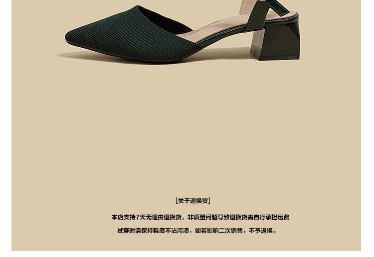 Sandals Chunky Pointed Heel