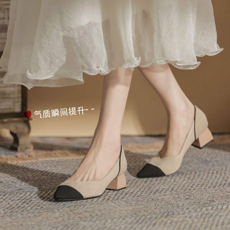 Pumps Chunky Pointed Heel