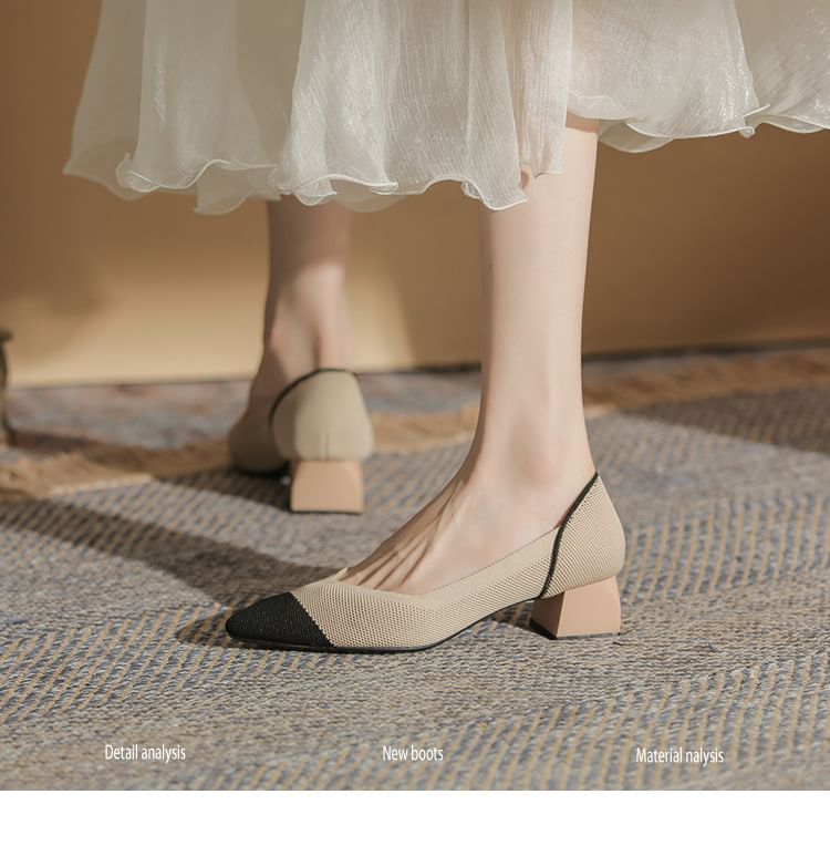 Pumps Chunky Pointed Heel