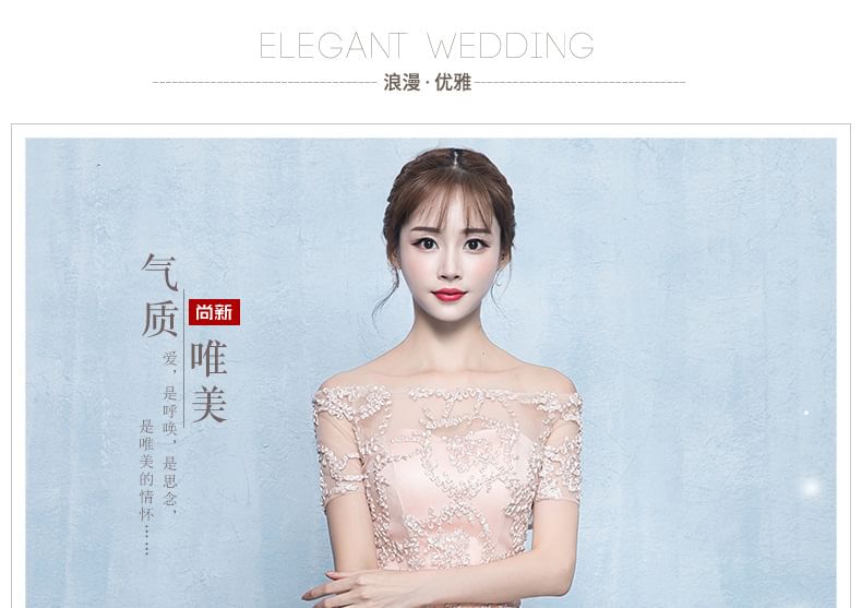 Short-Sleeve Off-Shoulder Embroidered Mesh A-Line Evening Gown / Midi Evening Dress