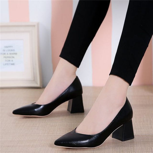 Chunky-Heel Pointy-Toe Pumps