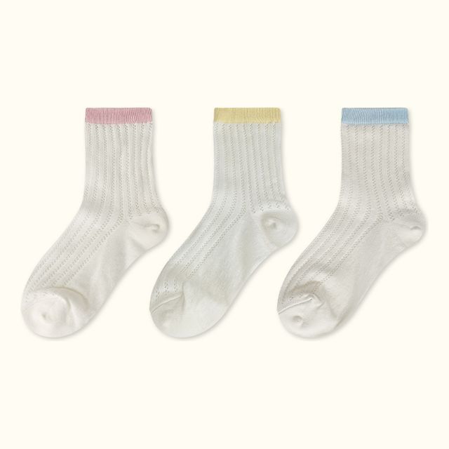 Contrast Trim Pointelle Knit Socks / Set