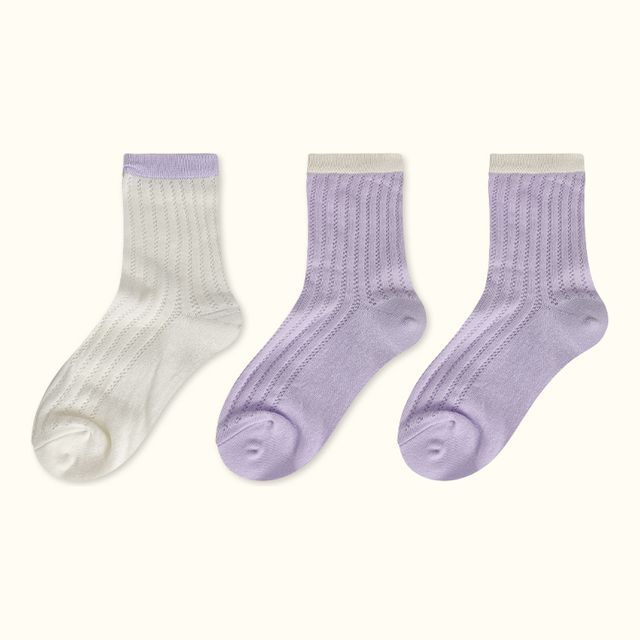 Contrast Trim Pointelle Knit Socks / Set