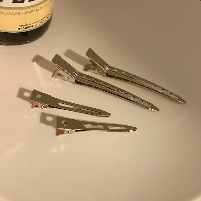 Hair Metallic Clip Set