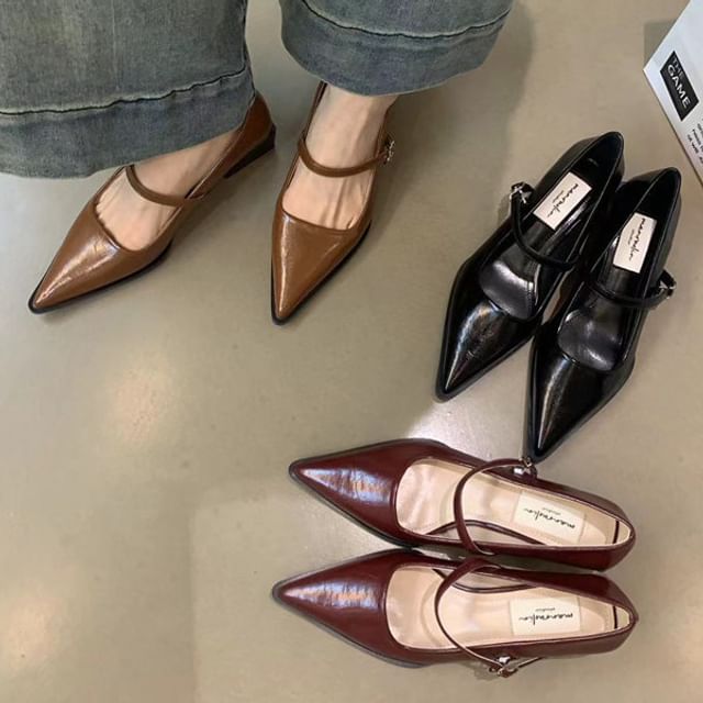 Mary Pointy Pumps Jane