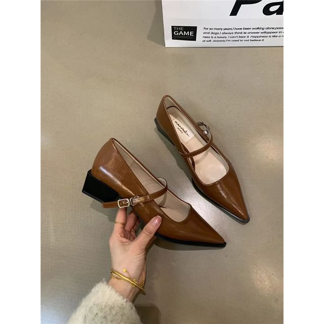 Mary Pointy Pumps Jane
