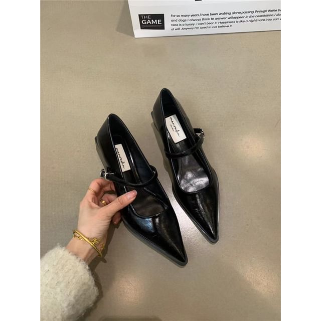 Mary Pointy Pumps Jane