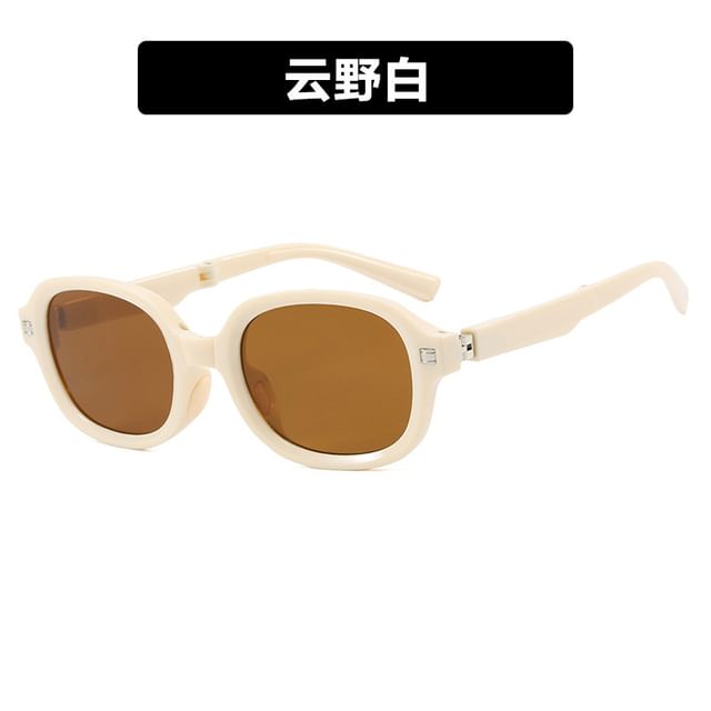 Oval Sunglasses Foldable