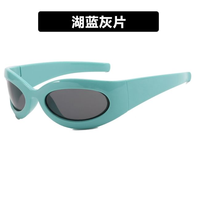 Thick Rimmed Oval Sunglasses