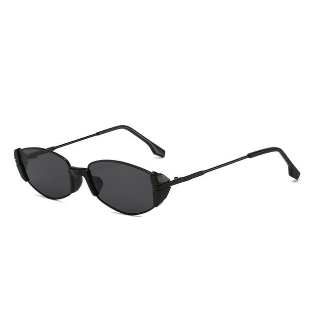 Lens Flat Sunglasses Shield