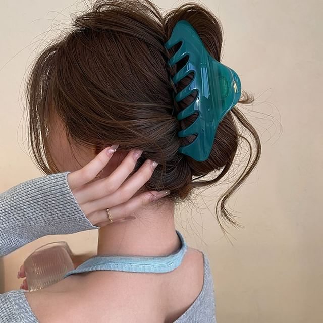 Clip Acrylic Claw Hair