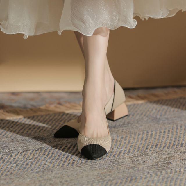 Pumps Chunky Pointed Heel