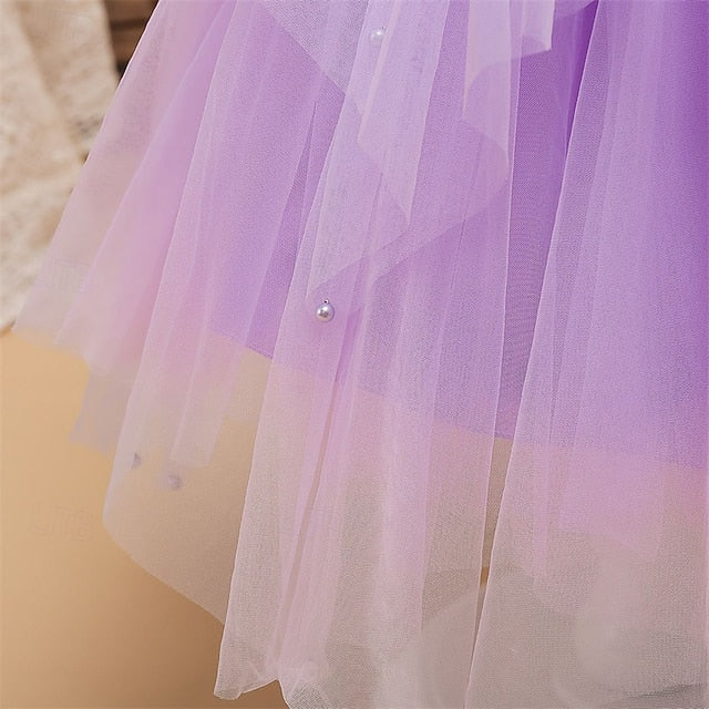 Princess Flower Girls' Girl Kid's Dress