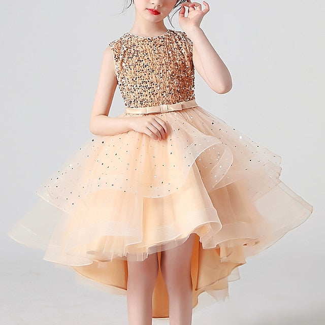 Party Dress Flower Girl Princess Girls'