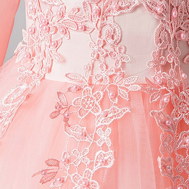 Flower Girls' Girl Dress Kid's Princess