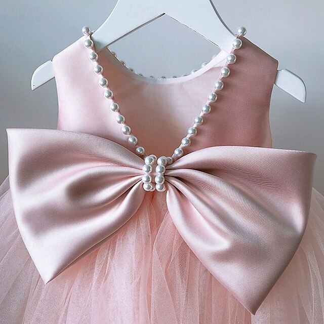 Kid's Girls' Princess Flower Girl Dress