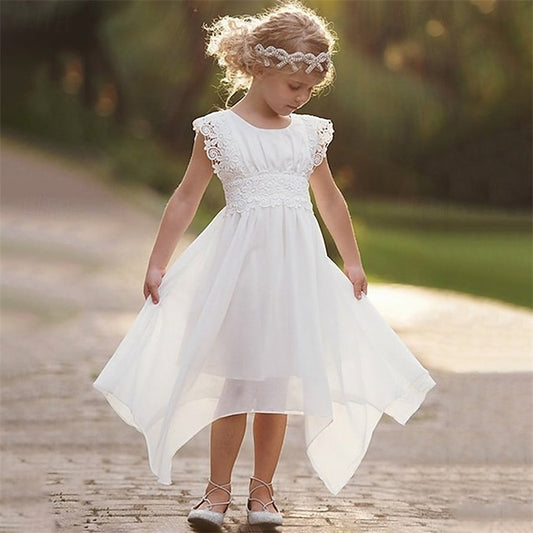 Girl Kid's Dress Flower Lace Girls' Princess