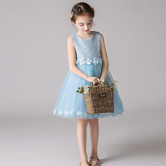 Dress Girls' Kid's Girl Flower Princess