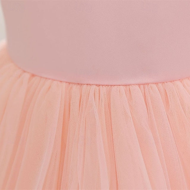 Kid's Princess Girl Dress Flower Girls'