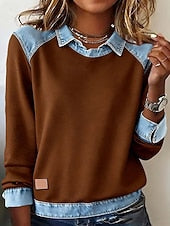 Women's Shirt Blouse Color Block Active Casual Long Sleeve