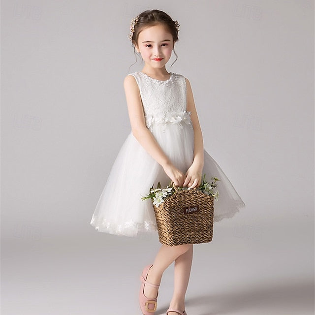 Dress Girls' Kid's Girl Flower Princess