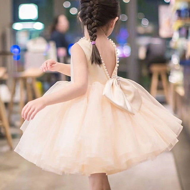 Princess Girls' Kid's Flower Dress Girl
