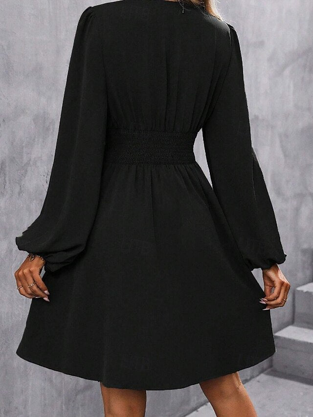 Women's Mini Dress Casual Dress Ruched Dress Modern Daily