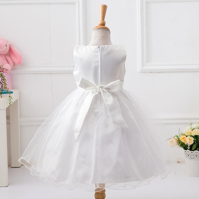 Wedding Party Girl Dress Girls' Flower