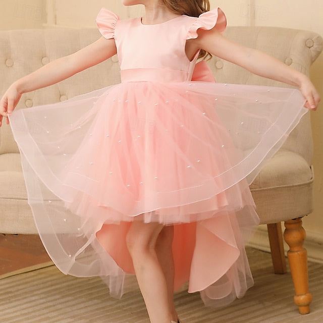 Dress Girls' Party Color Kids Flower Girl Solid