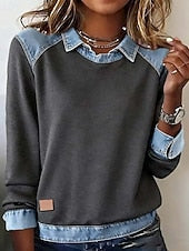 Women's Shirt Blouse Color Block Active Casual Long Sleeve