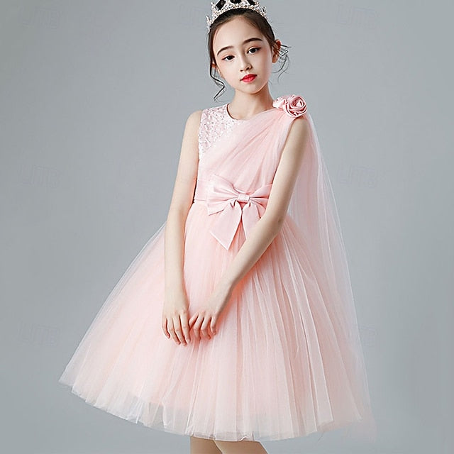 Girl Kid's Princess Dress Flower Girls'